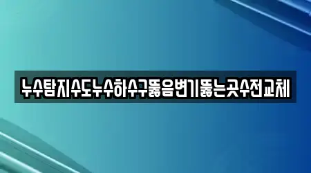 누수탐지수도누수하수구뚫음변기뚫는곳수전교체