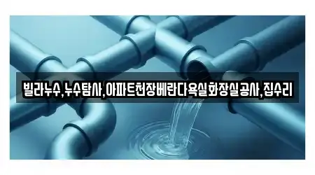 빌라누수,누수탐사,아파트천장베란다욕실화장실공사,집수리