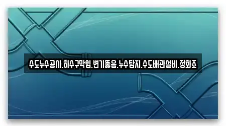 수도누수공사.하수구막힘.변기뚫음.누수탐지.수도배관설비.정화조