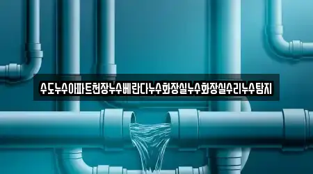 수도누수아파트천장누수베란다누수화장실누수화장실수리누수탐지
