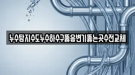 누수탐지수도누수하수구뚫음변기뚫는곳수전교체