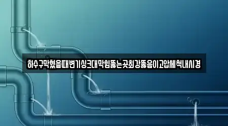 하수구막혔을때변기싱크대막힘뚫는곳최강뚫음이고압세척내시경