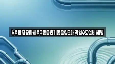누수탐지공사하수구뚫음변기뚫음싱크대막힘수도설비해빙
