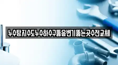누수탐지수도누수하수구뚫음변기뚫는곳수전교체