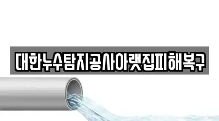 대한누수탐지공사아랫집피해복구