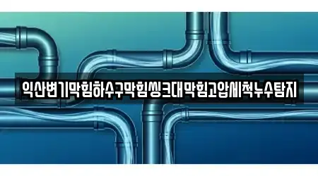 익산변기막힘하수구막힘씽크대막힘고압세척누수탐지