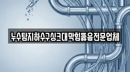 누수탐지하수구싱크대막힘뚫음전문업체