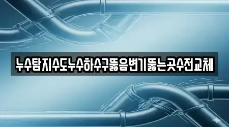 누수탐지수도누수하수구뚫음변기뚫는곳수전교체