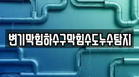 변기막힘하수구막힘수도누수탐지