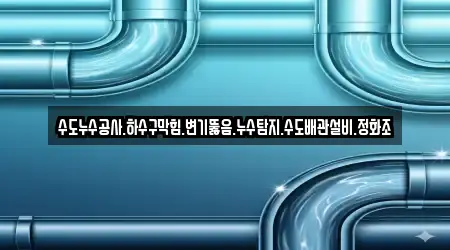 수도누수공사.하수구막힘.변기뚫음.누수탐지.수도배관설비.정화조