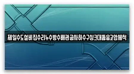 전주시 금암동 누수탐지,하수구뚫음,싱크대뚫음,변기뚫음,싱크대막힘 5곳 지도·연락처