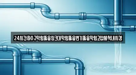 24시간하수구막힘뚫음싱크대막힘뚫음변기뚫음막힘고압세척내시경