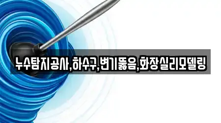 누수탐지공사,하수구,변기뚫음,화장실리모델링