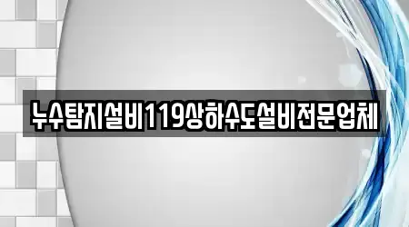 누수탐지설비119상하수도설비전문업체
