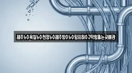 제주누수욕실누수천정누수제주방수누수탐지하수구막힘뚫는곳배관