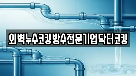 외벽누수코킹방수전문기업닥터코킹