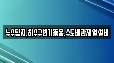 누수탐지,하수구변기뚫음,수도배관제일설비