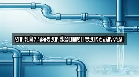 변기막힘하수구뚫음싱크대막혔을때세면대씽크대수전교체누수탐지