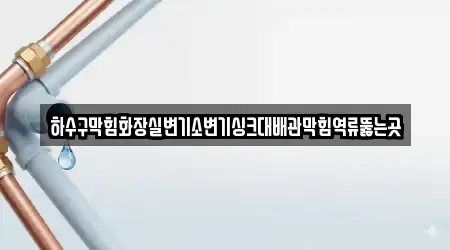 하수구막힘화장실변기소변기싱크대배관막힘역류뚫는곳