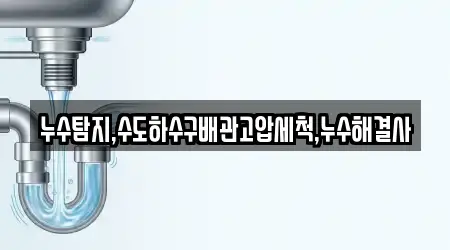 누수탐지,수도하수구배관고압세척,누수해결사