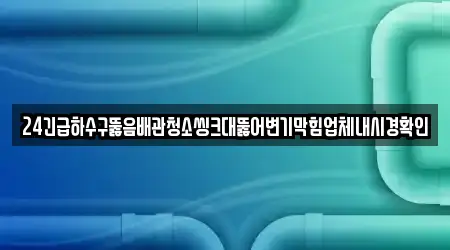 24긴급하수구뚫음배관청소씽크대뚫어변기막힘업체내시경확인