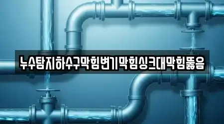 누수탐지하수구막힘변기막힘싱크대막힘뚫음