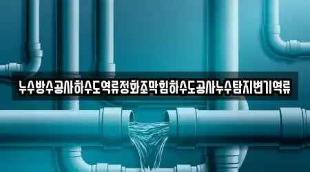 누수방수공사하수도역류정화조막힘하수도공사누수탐지변기역류