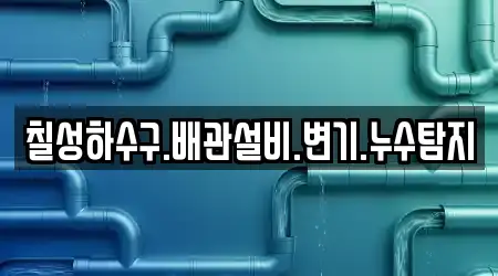 칠성하수구.배관설비.변기.누수탐지