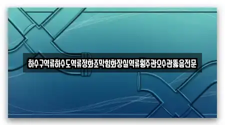 하수구역류하수도역류정화조막힘화장실역류횡주관오수관뚫음전문