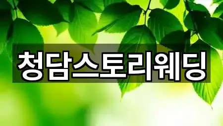 전북특별자치도 전주시 웨딩드레스 5곳 퀵 리스트