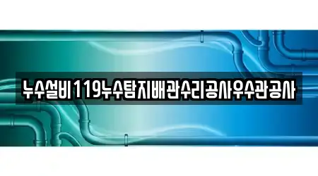 누수설비119누수탐지배관수리공사우수관공사