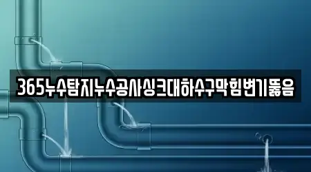 365누수탐지누수공사싱크대하수구막힘변기뚫음