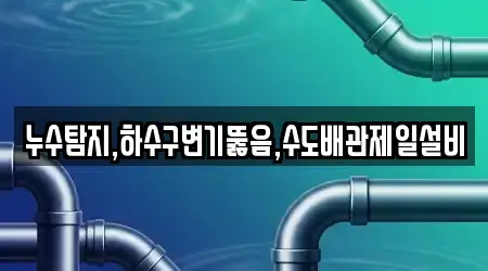 누수탐지,하수구변기뚫음,수도배관제일설비
