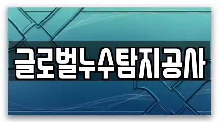 글로벌누수탐지공사