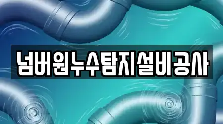 넘버원누수탐지설비공사