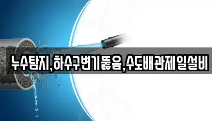 누수탐지,하수구변기뚫음,수도배관제일설비