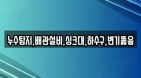 누수탐지,배관설비,싱크대,하수구,변기뚫음