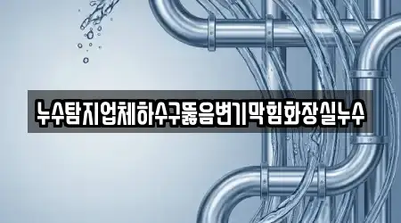 누수탐지업체하수구뚫음변기막힘화장실누수