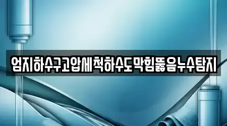 엄지하수구고압세척하수도막힘뚫음누수탐지