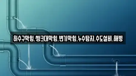 하수구막힘.씽크대막힘.변기막힘.누수탐지.수도설비.해빙