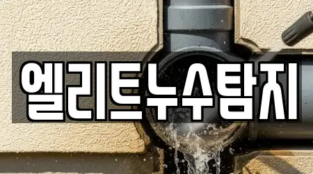 엘리트누수탐지