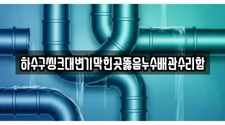 하수구씽크대변기막힌곳뚫음누수배관수리함