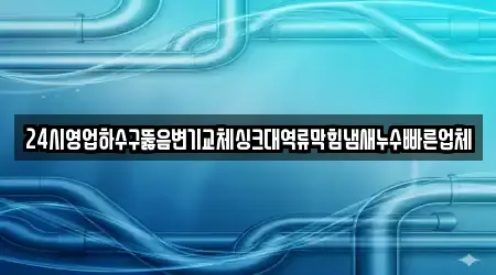 24시영업하수구뚫음변기교체싱크대역류막힘냄새누수빠른업체