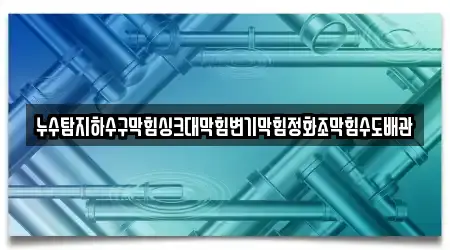 누수탐지하수구막힘싱크대막힘변기막힘정화조막힘수도배관