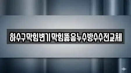 하수구막힘변기막힘뚫음누수방수수전교체