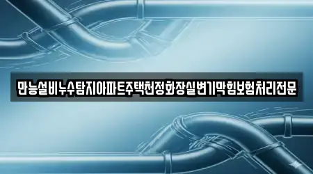 만능설비누수탐지아파트주택천정화장실변기막힘보험처리전문