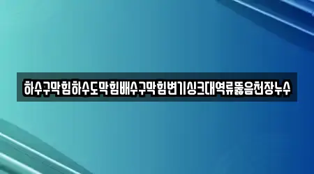 하수구막힘하수도막힘배수구막힘변기싱크대역류뚫음천장누수