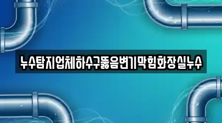 누수탐지업체하수구뚫음변기막힘화장실누수