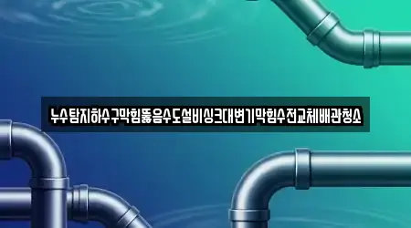 누수탐지하수구막힘뚫음수도설비싱크대변기막힘수전교체배관청소