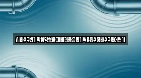 시하수구변기막힘막혔을때배관뚫음뚫기역류집수정배수구뚫어변기